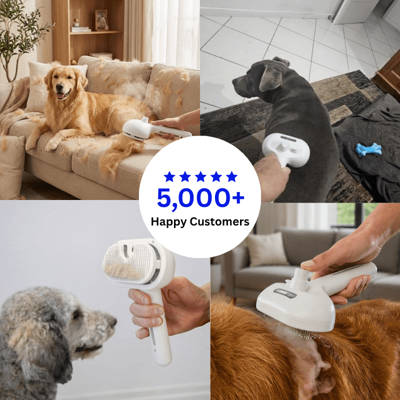 PawwHub™ Premium 3 in 1 Steam Brush