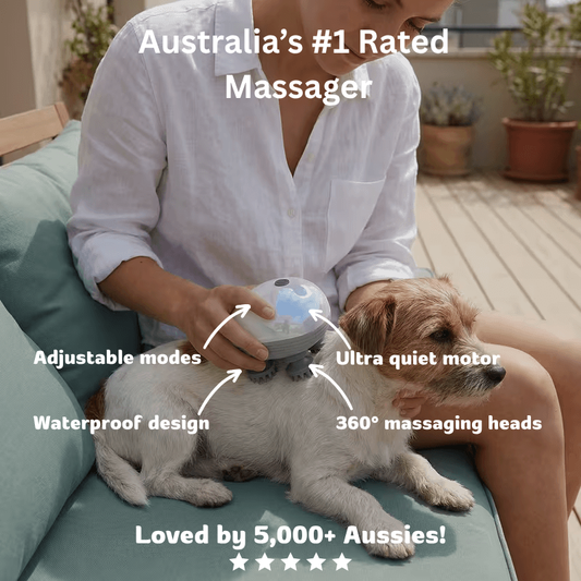 PawwHub™ Premium Body & Scalp Massager