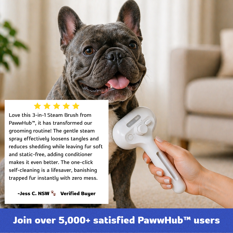 PawwHub™ Premium 3 in 1 Steam Brush