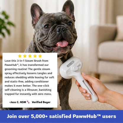 PawwHub™ Premium 3 in 1 Steam Brush