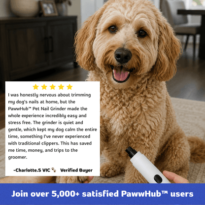 PawwHub™ Premium Pet Nail Grinder