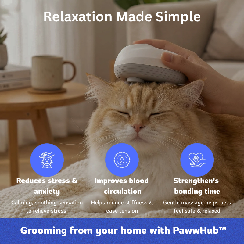 PawwHub™ Premium Body & Scalp Massager